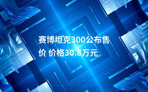 赛博坦克300公布售价 价格30.8万元